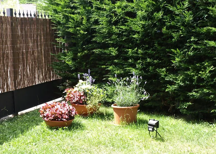 乡村洛杉矶鲁特罗斯酒店 酒店 *