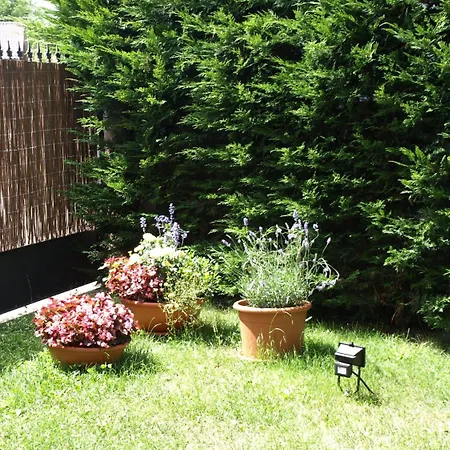 Rural Roturos Otel *